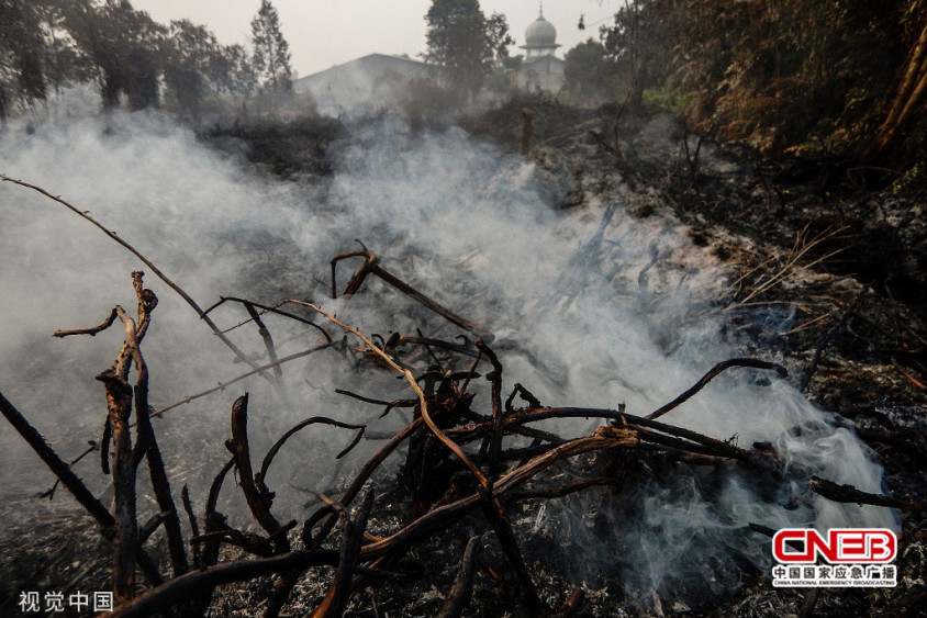 印尼一处泥炭地发生火灾 现场烟雾弥漫