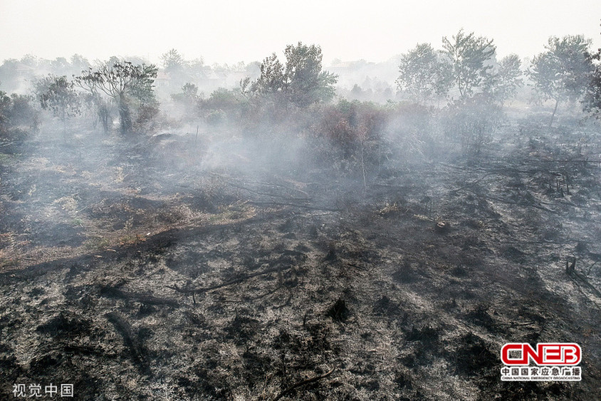 印尼一处泥炭地发生火灾 现场烟雾弥漫