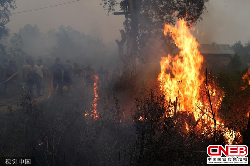 印尼一处泥炭地发生火灾