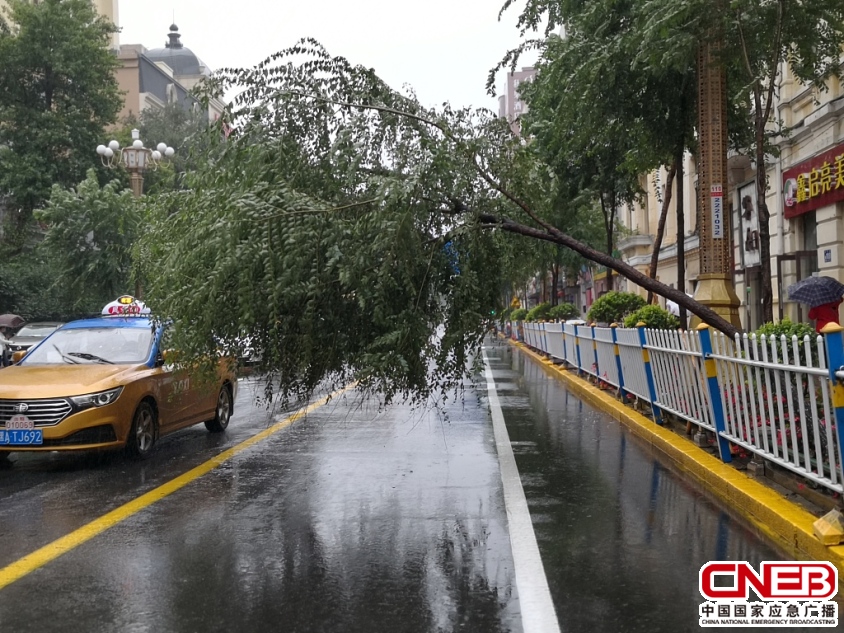 突发事件2020年9月8日,受台风"海神"影响,哈尔滨市出现大风暴雨天气