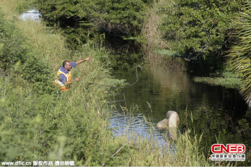 事故導致8死10傷