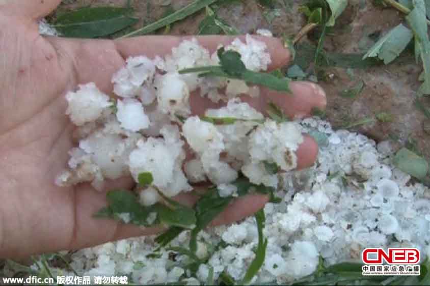 甘肅遭大面積冰雹降雨