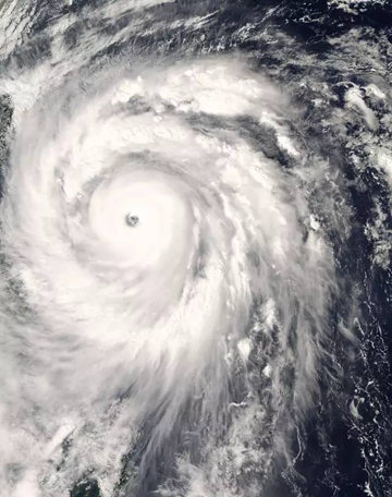 2008年台风“蔷薇”卫星云图。
