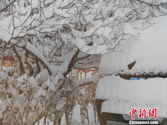 10日晚，一場暴雪覆蓋了整個城區(qū)，烏魯木齊銀裝素裹。　史玉江　攝