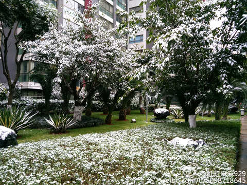 12月16日，昆明降下半年来第一场雪。