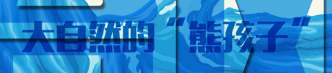戳图了解