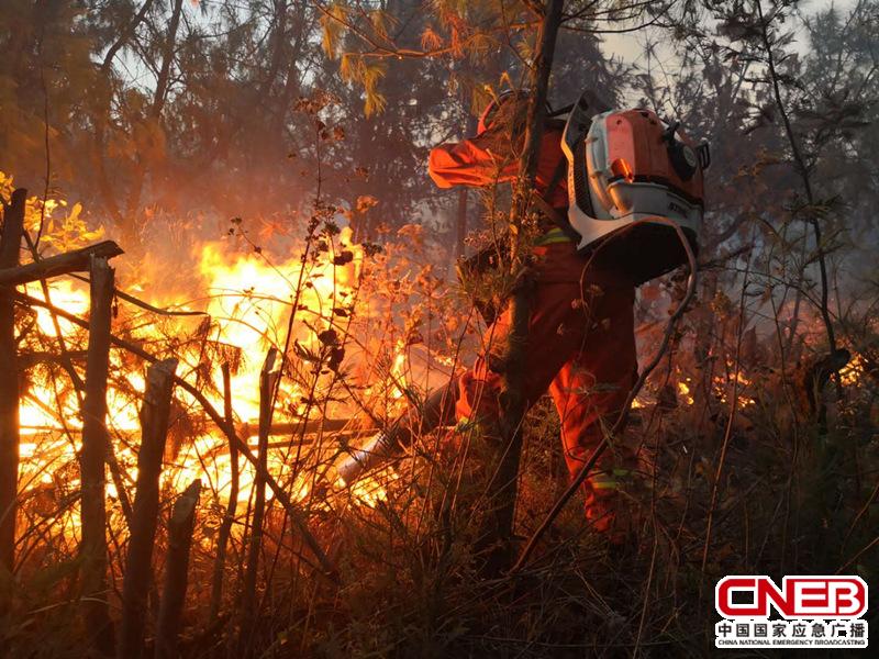 昆明龙池山庄附近森林火灾过火面积15公顷（图片由现场扑火队员提供）